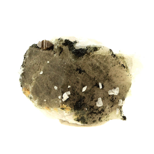 Anatase + Quartz + Chlorite. 50.0 carats. Les Rousses, Vaujany, Isère, France