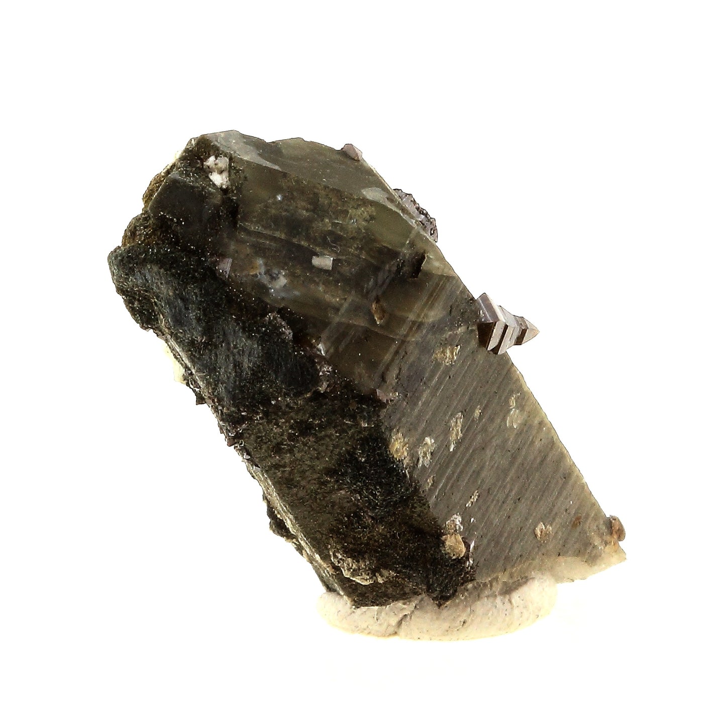 Anatase + Quartz + Chlorite. 37.0 carats. Les Rousses, Vaujany, Isère, France