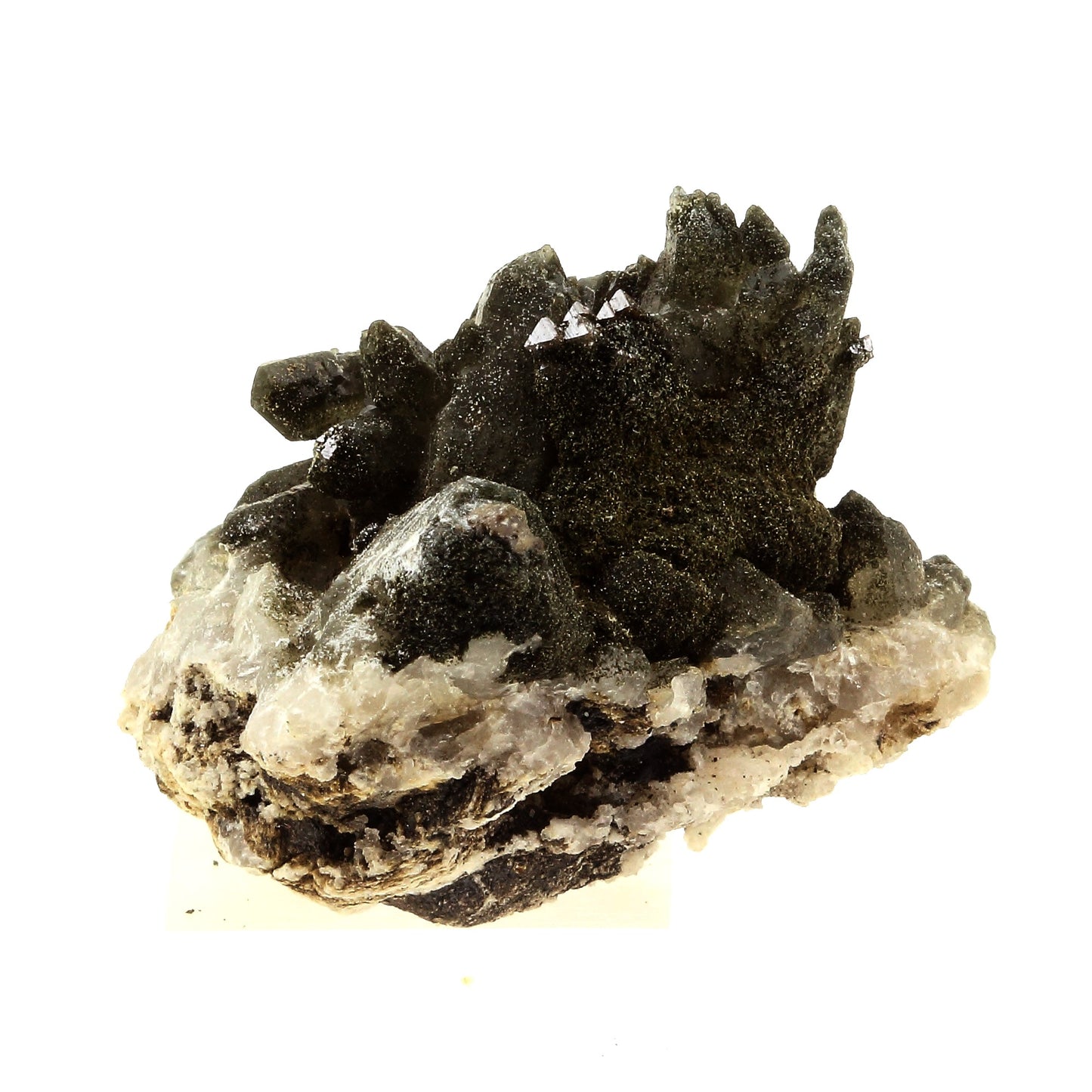 Anatase + Quartz + Chlorite. 107.0 carats. Les Rousses, Vaujany, Isère, France