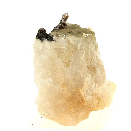 Anatase + Quartz + Chlorite. 73.0 carats. Les Rousses, Vaujany, Isère, France