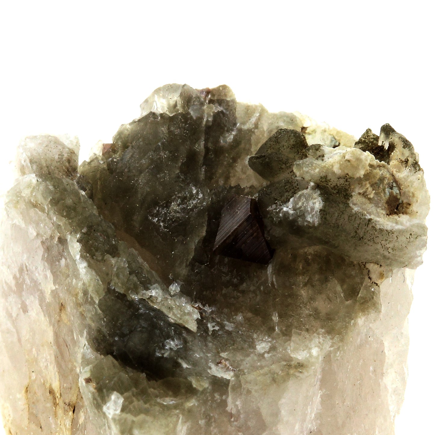 Anatase + Quartz + Chlorite. 90.0 carats. Les Rousses, Vaujany, Isère, France
