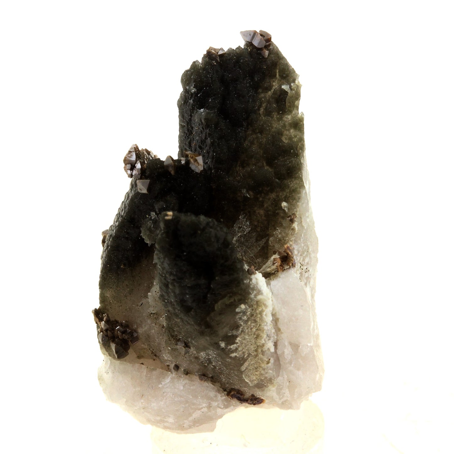 Anatase + Quartz + Chlorite. 70.0 carats. Les Rousses, Vaujany, Isère, France