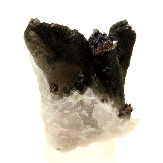 Anatase + Quartz + Chlorite. 70.0 carats. Les Rousses, Vaujany, Isère, France