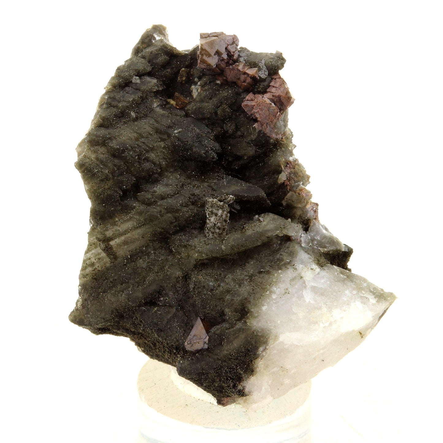 Anatase + Quartz + Chlorite. 69.0 carats. Les Rousses, Vaujany, Isère, France
