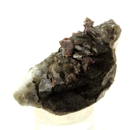 Anatase + Quartz + Chlorite. 69.0 carats. Les Rousses, Vaujany, Isère, France