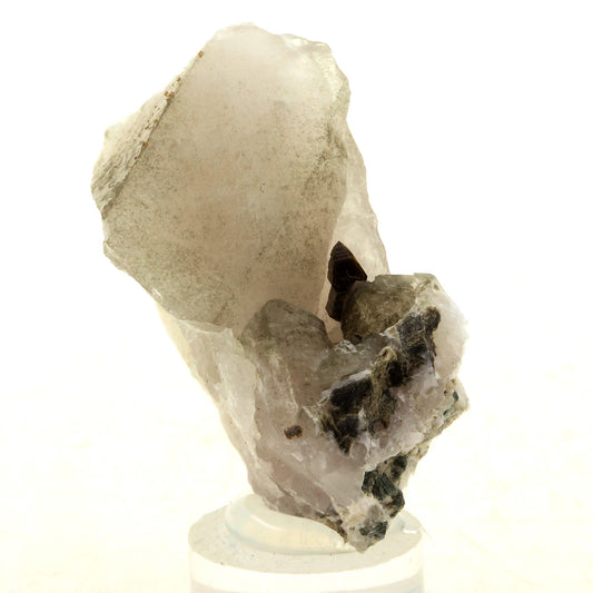 Anatase + Quartz + Chlorite. 59.0 carats. Les Rousses, Vaujany, Isère, France