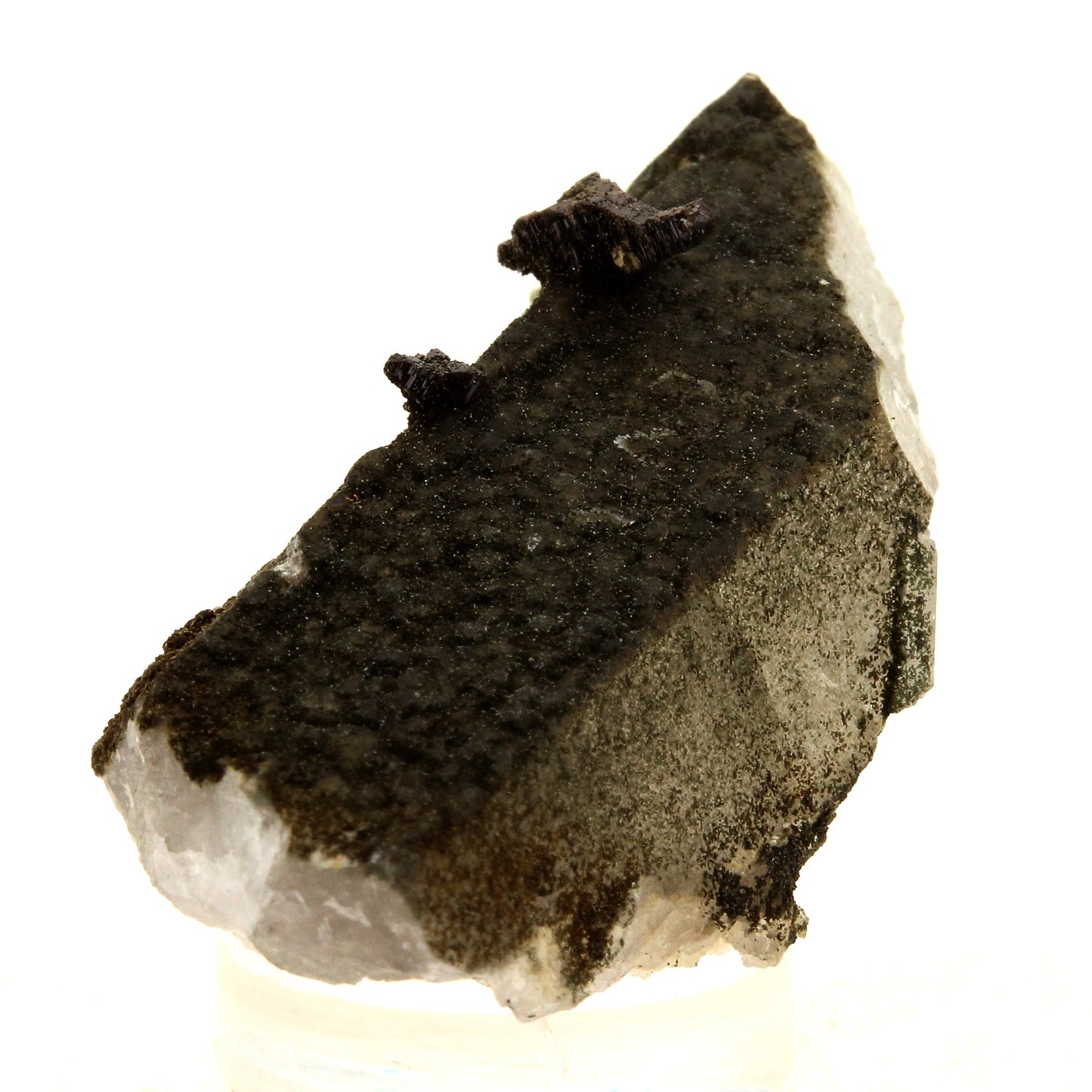 Anatase + Quartz + Chlorite. 48.0 carats. Les Rousses, Vaujany, Isère, France