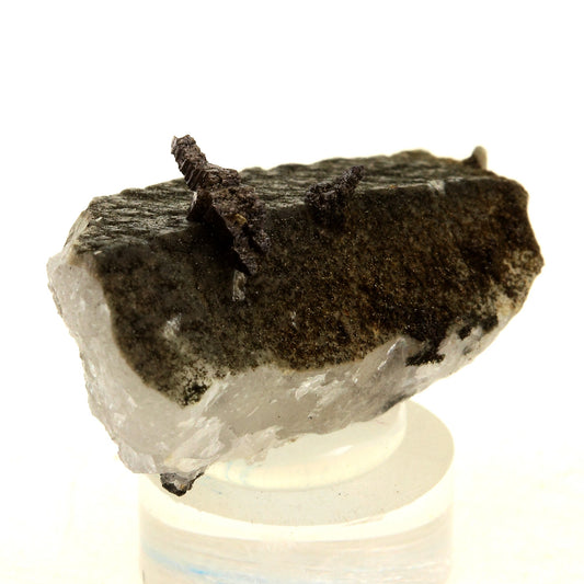 Anatase + Quartz + Chlorite. 48.0 carats. Les Rousses, Vaujany, Isère, France