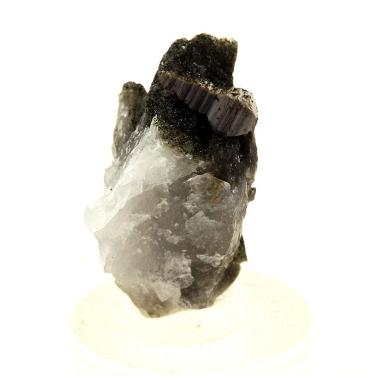 Anatase + Quartz + Chlorite. 16.0 carats. Les Rousses, Vaujany, Isère, France