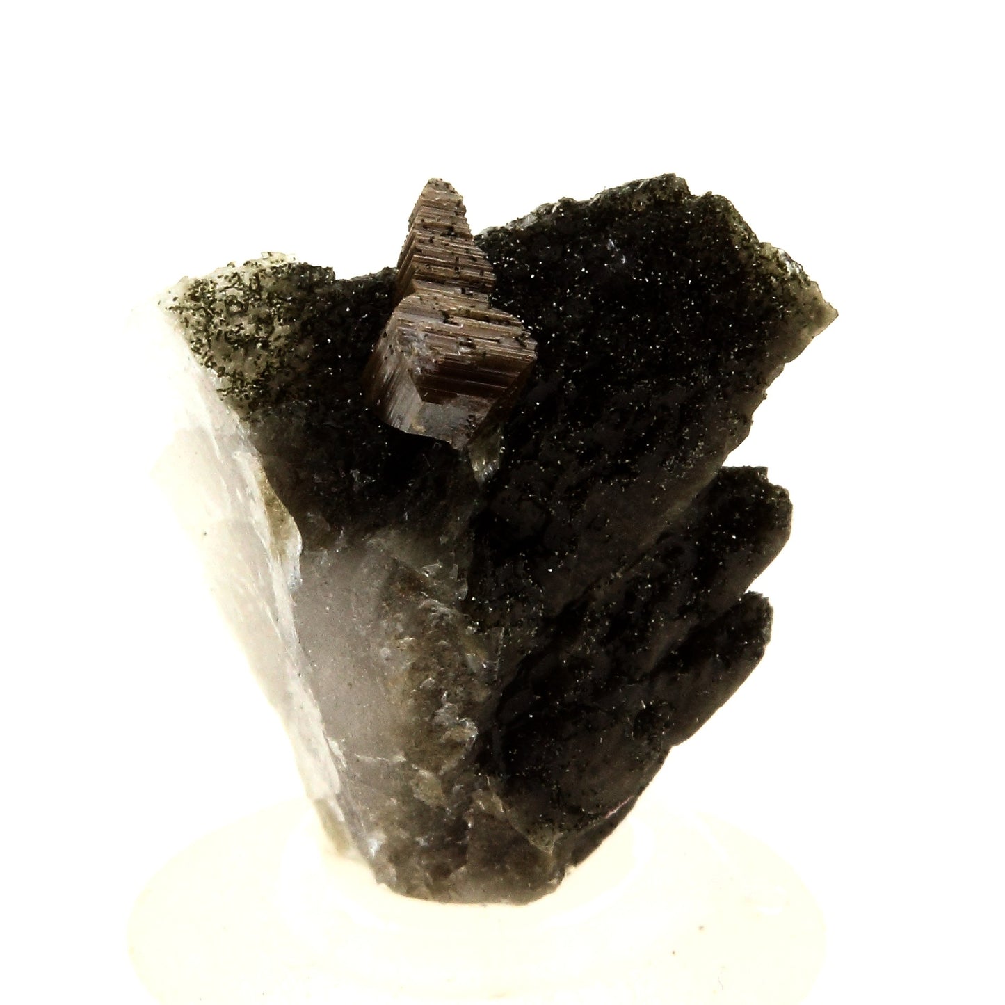 Anatase + Quartz + Chlorite. 16.0 carats. Les Rousses, Vaujany, Isère, France