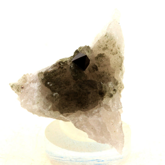 Anatase + Quartz + Chlorite. 31.0 carats. Les Rousses, Vaujany, Isère, France