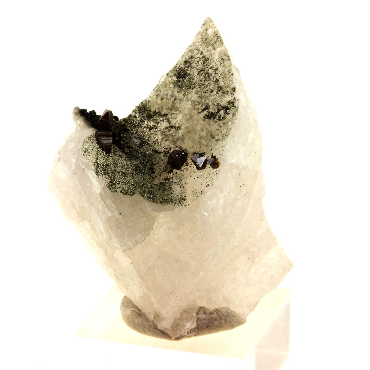 Anatase + Quartz + Chlorite. 70.0 carats. Les Rousses, Vaujany, Isère, France