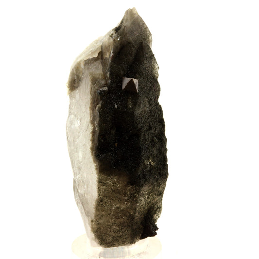 Anatase + Quartz + Chlorite. 57.0 carats. Les Rousses, Vaujany, Isère, France