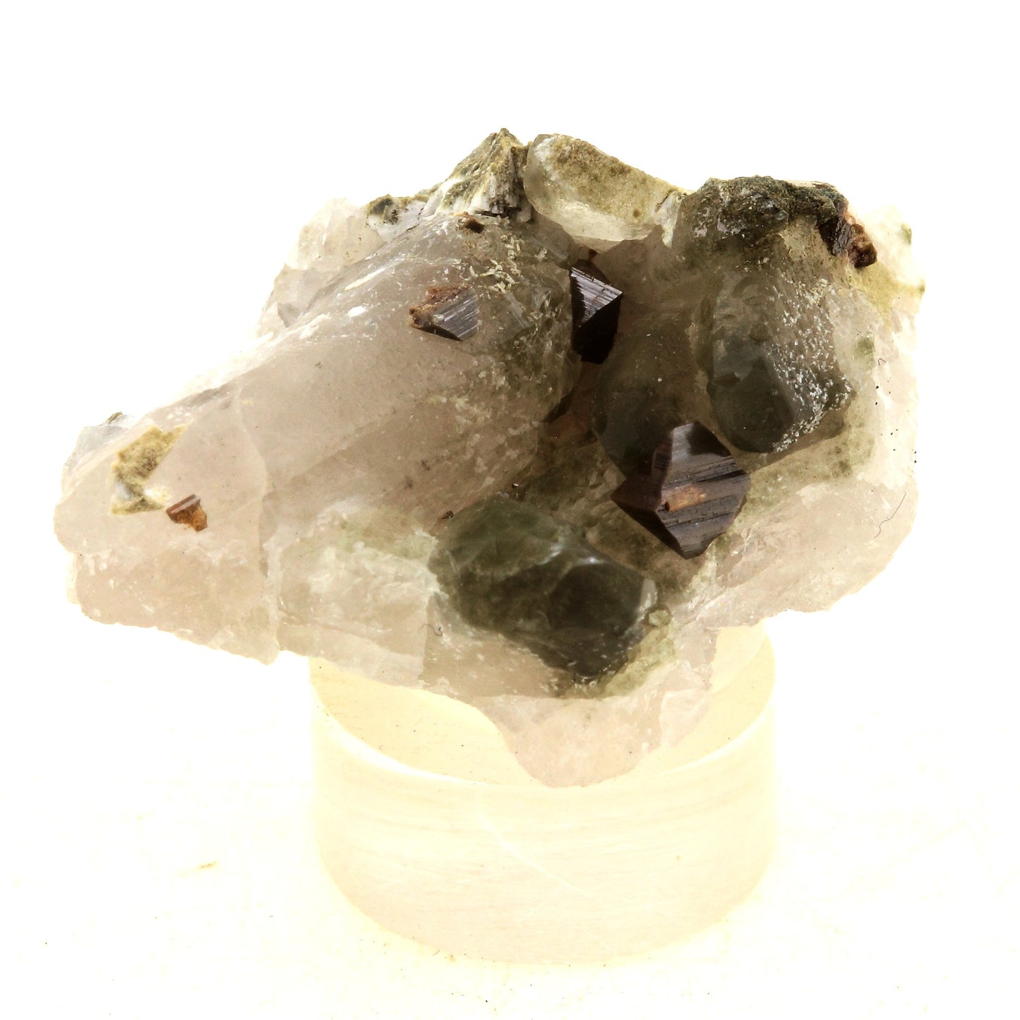 Anatase + Quartz + Chlorite. 52.0 carats. Les Rousses, Vaujany, Isère, France