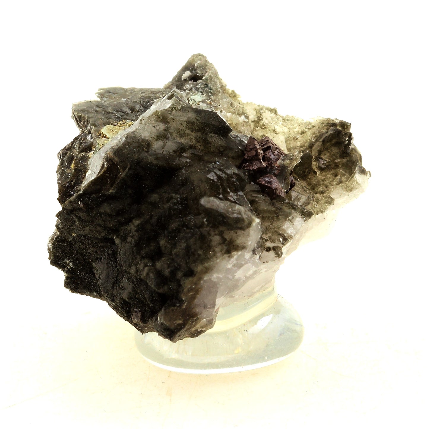 Anatase + Quartz + Chlorite. 213.0 carats. Les Rousses, Vaujany, Isère, France
