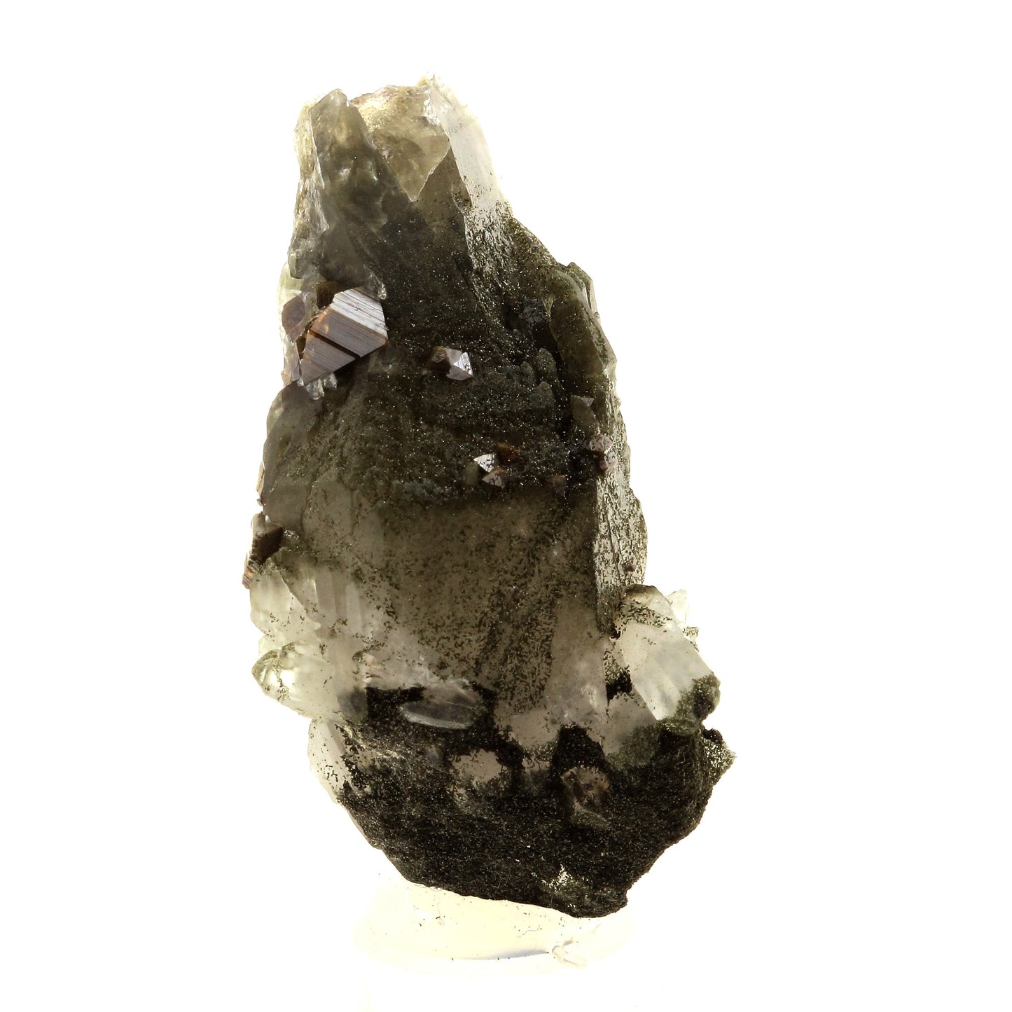 Anatase + Quartz + Chlorite. 111.0 carats. Les Rousses, Vaujany, Isère, France