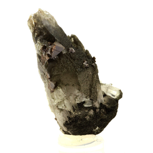 Anatase + Quartz + Chlorite. 111.0 carats. Les Rousses, Vaujany, Isère, France