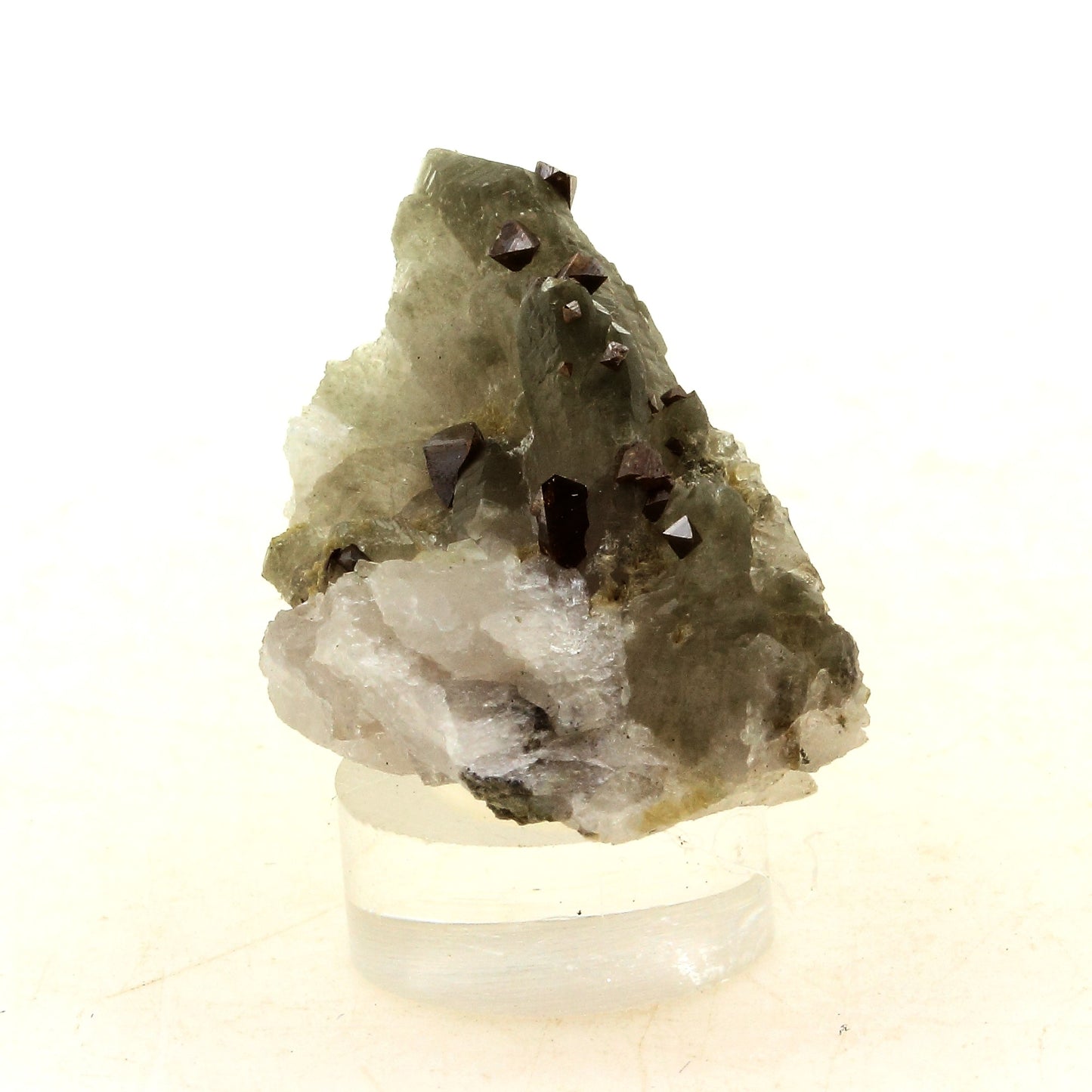Anatase + Quartz + Chlorite. 40.0 carats. Les Rousses, Vaujany, Isère, France