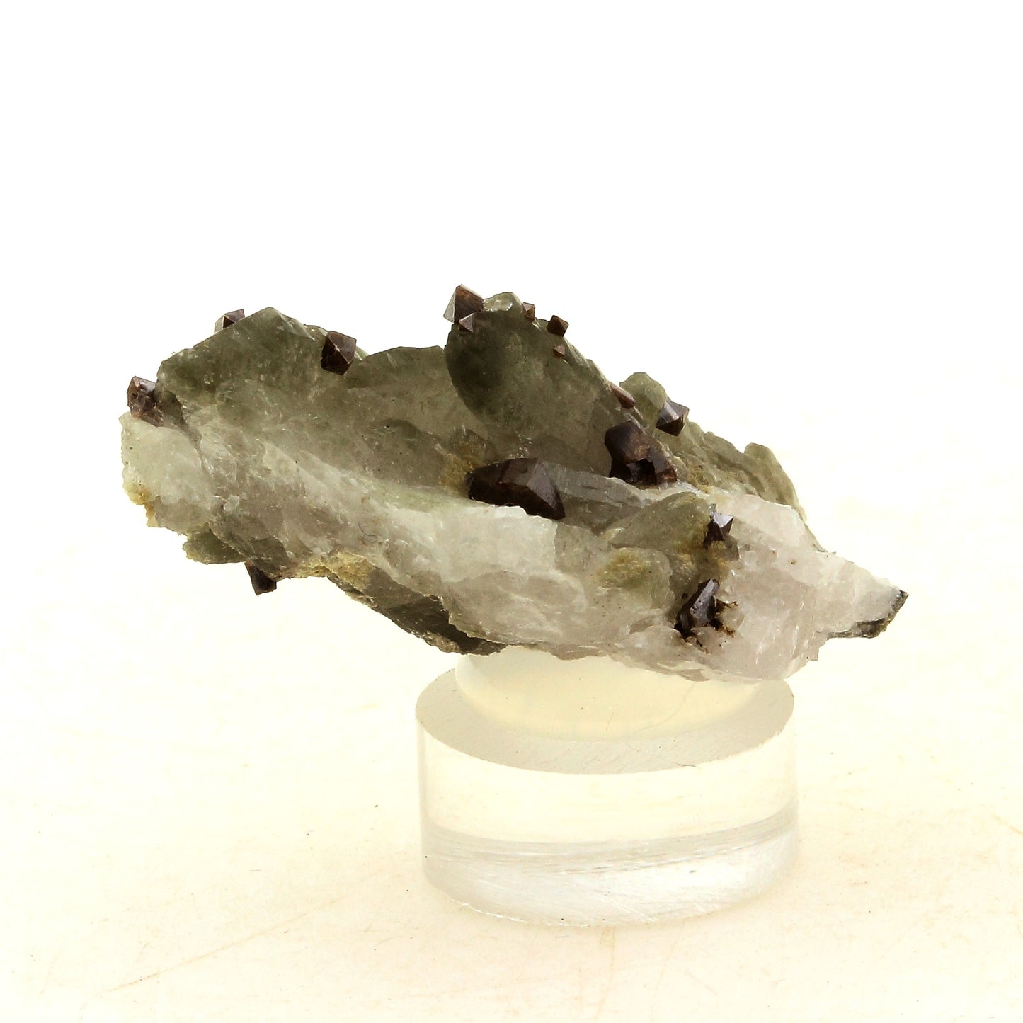 Anatase + Quartz + Chlorite. 40.0 carats. Les Rousses, Vaujany, Isère, France
