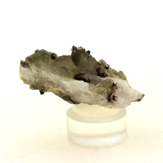 Anatase + Quartz + Chlorite. 40.0 carats. Les Rousses, Vaujany, Isère, France