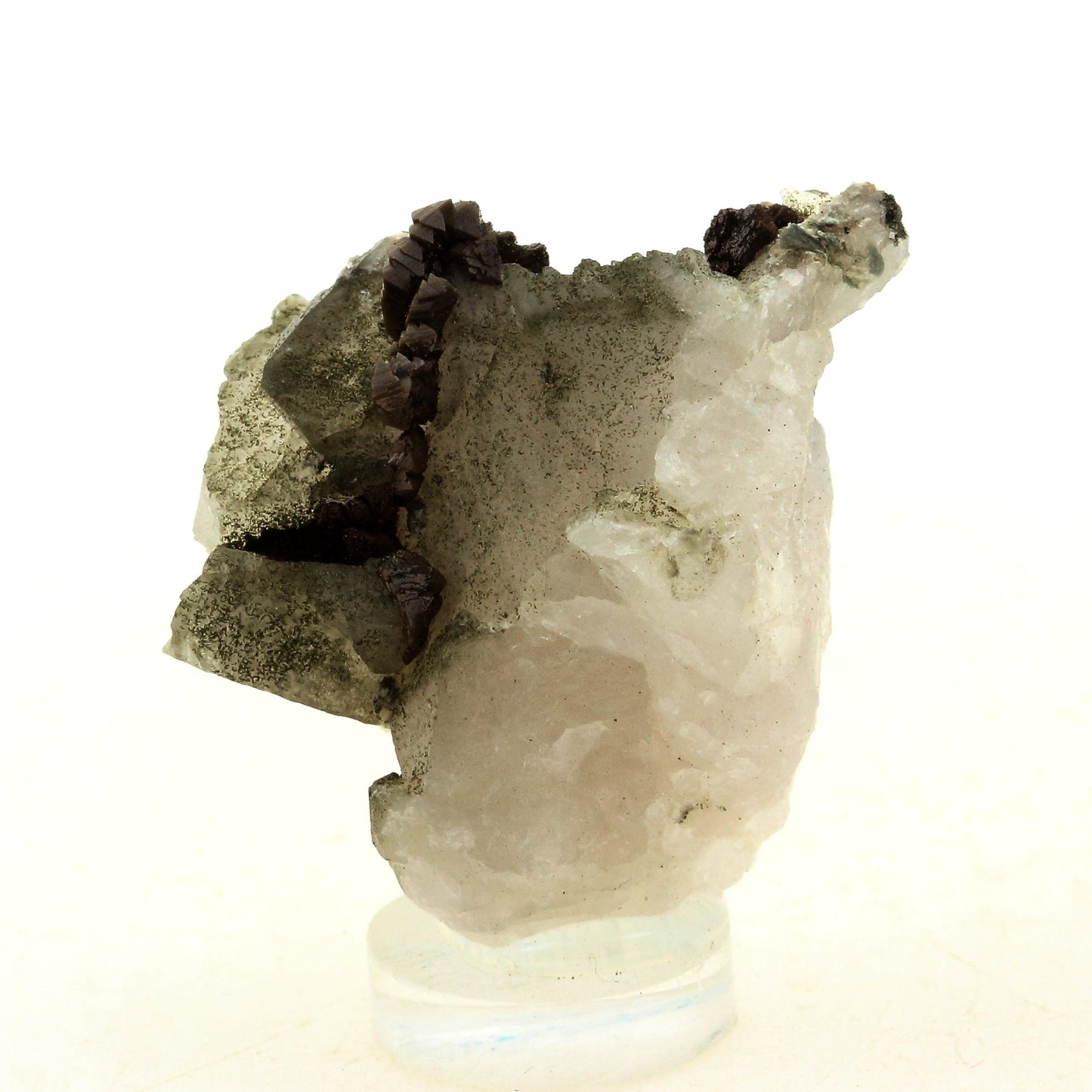 Anatase + Quartz + Chlorite. 81.0 carats. Les Rousses, Vaujany, Isère, France