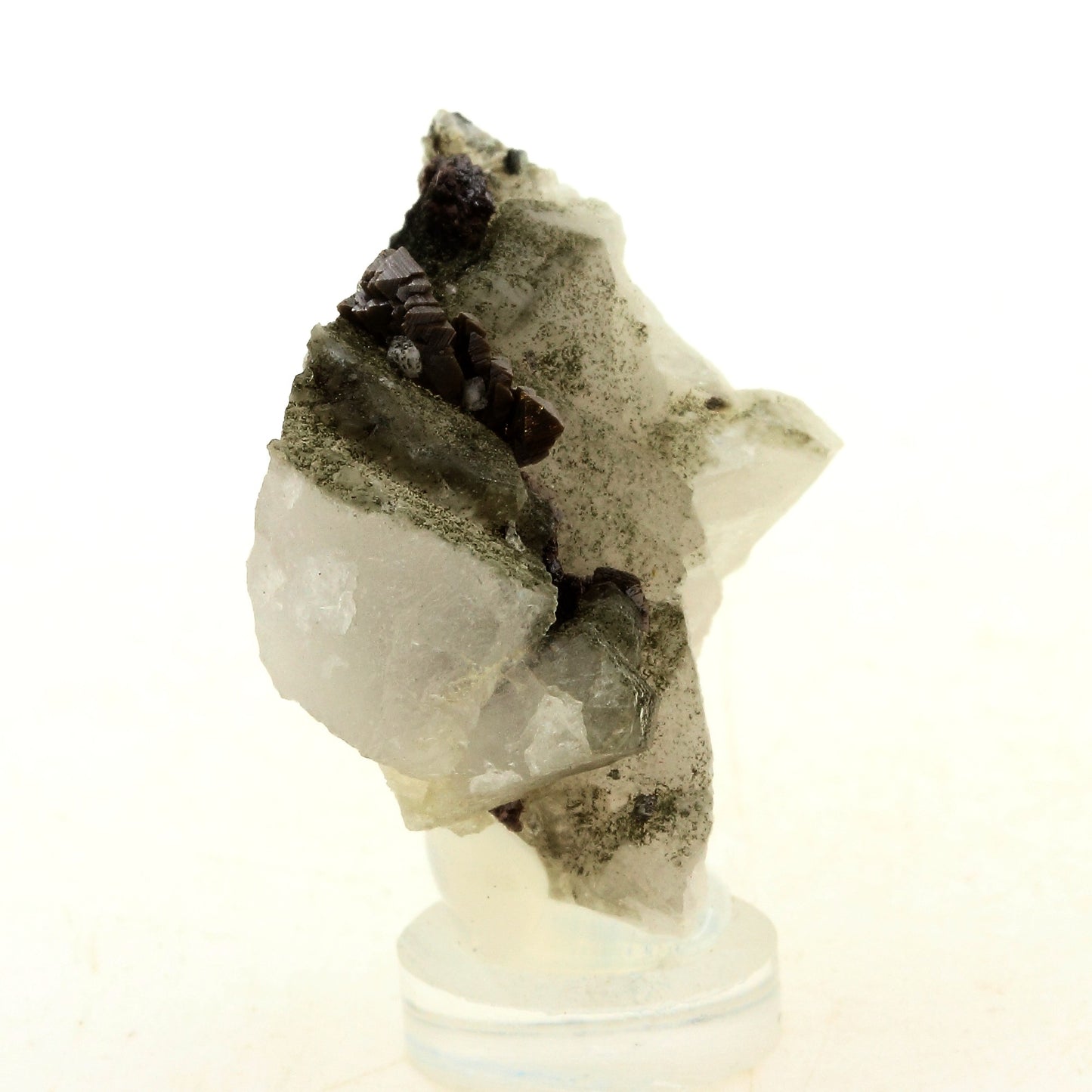 Anatase + Quartz + Chlorite. 81.0 carats. Les Rousses, Vaujany, Isère, France
