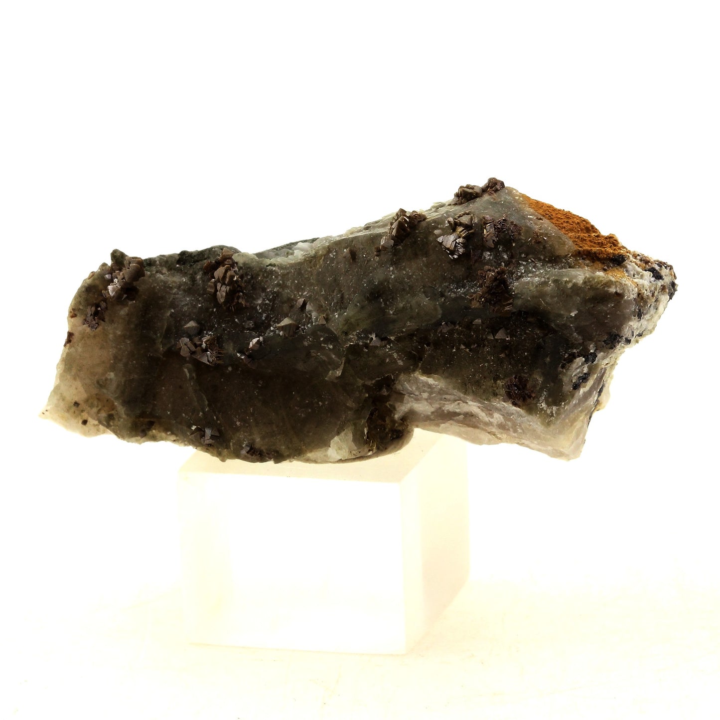 Anatase + Quartz + Chlorite. 140.0 carats. Les Rousses, Vaujany, Isère, France