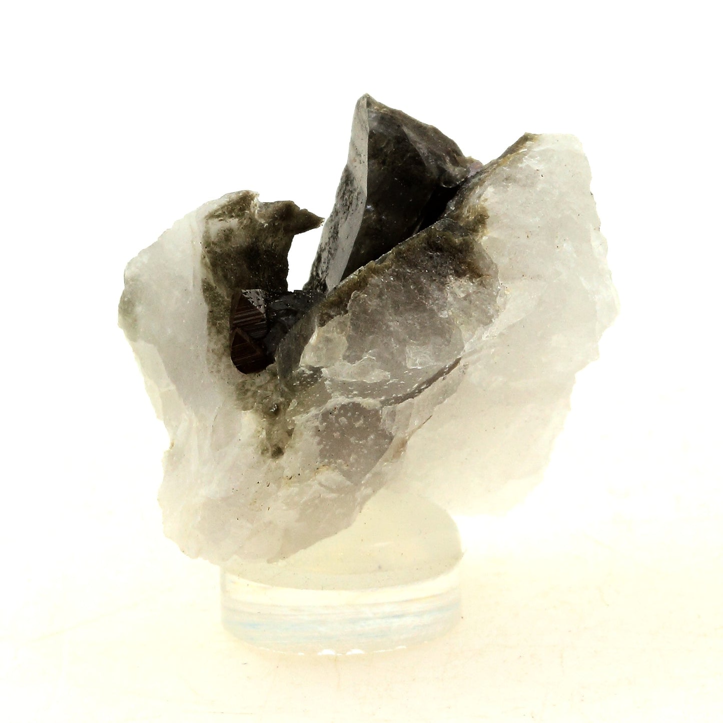 Anatase + Quartz + Chlorite. 94.0 carats. Les Rousses, Vaujany, Isère, France