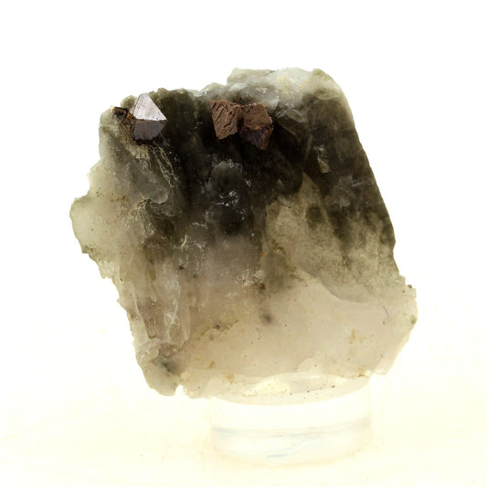 Anatase + Quartz + Chlorite. 71.0 carats. Les Rousses, Vaujany, Isère, France