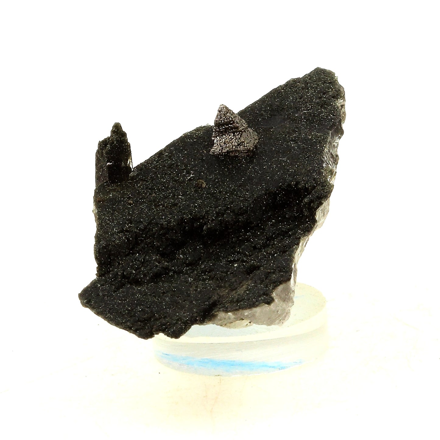 Anatase + Quartz + Chlorite. 60.0 carats. Les Rousses, Vaujany, Isère, France