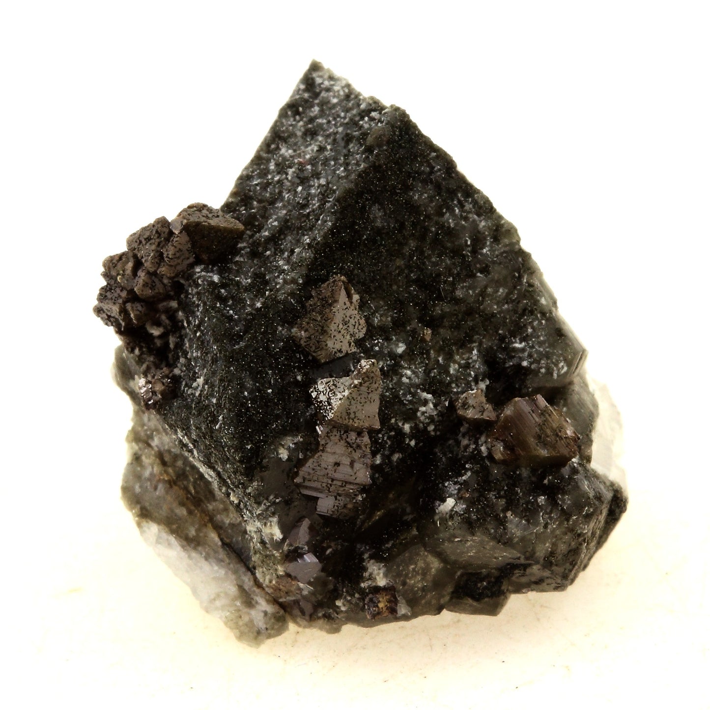Anatase + Quartz + Chlorite. 63.0 carats. Les Rousses, Vaujany, Isère, France