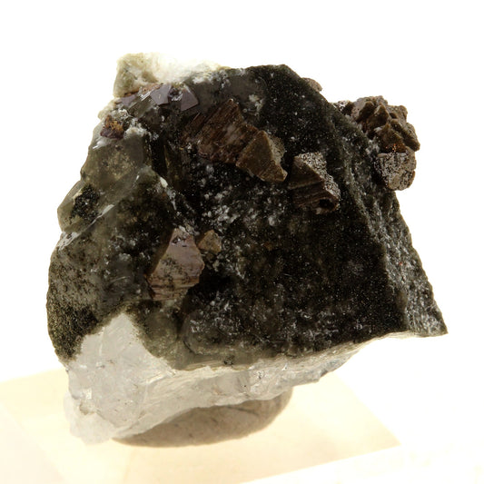 Anatase + Quartz + Chlorite. 63.0 carats. Les Rousses, Vaujany, Isère, France