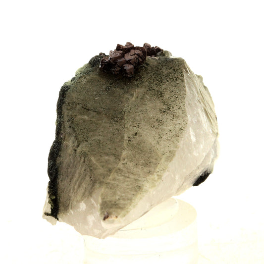 Anatase + Quartz + Chlorite. 66.0 carats. Les Rousses, Vaujany, Isère, France