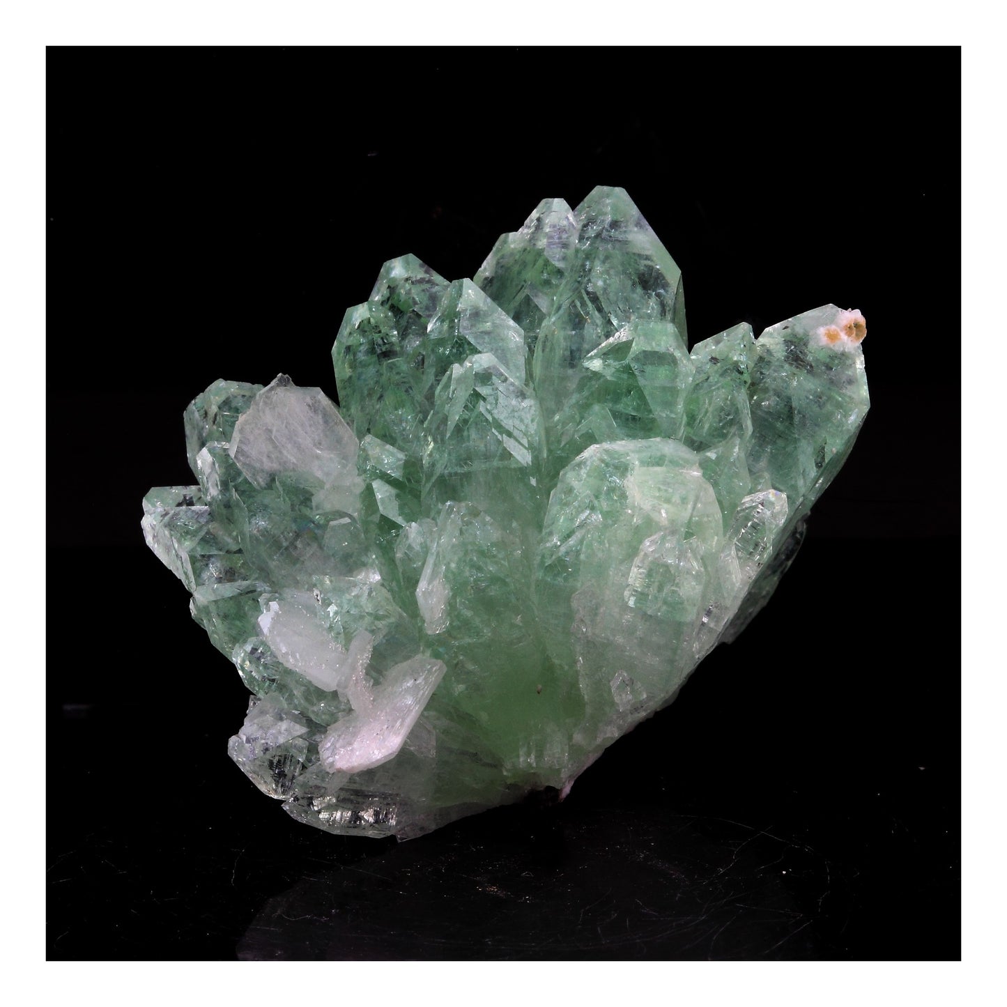Apophyllite. 196.0 carats. Pune, Maharashtra, Inde