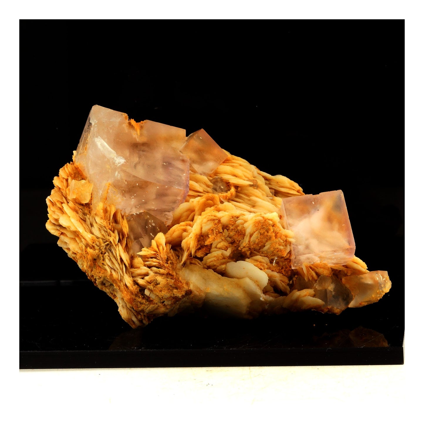 Fluorite + Baryte. 758.0 carats. Berbes, Ribadesella, Espagne