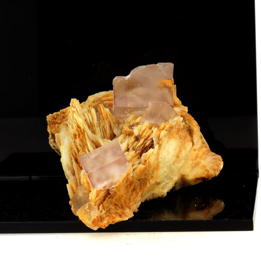 Fluorite + Baryte. 758.0 carats. Berbes, Ribadesella, Espagne