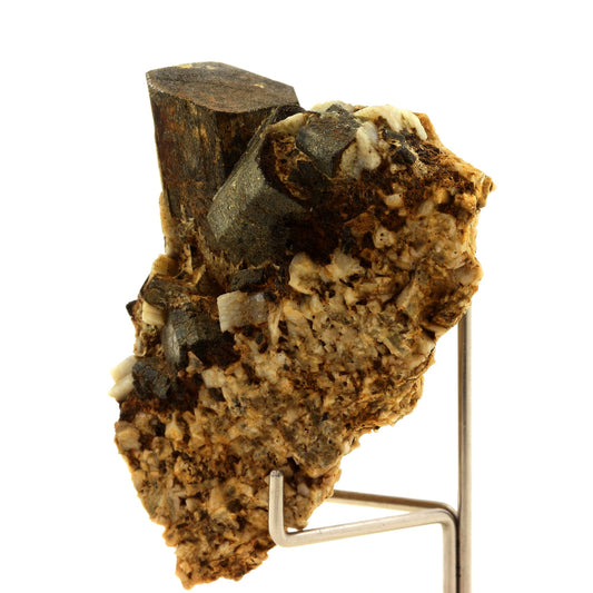 Augite. 171.0 carats. Imilchil, Errachidia, Maroc