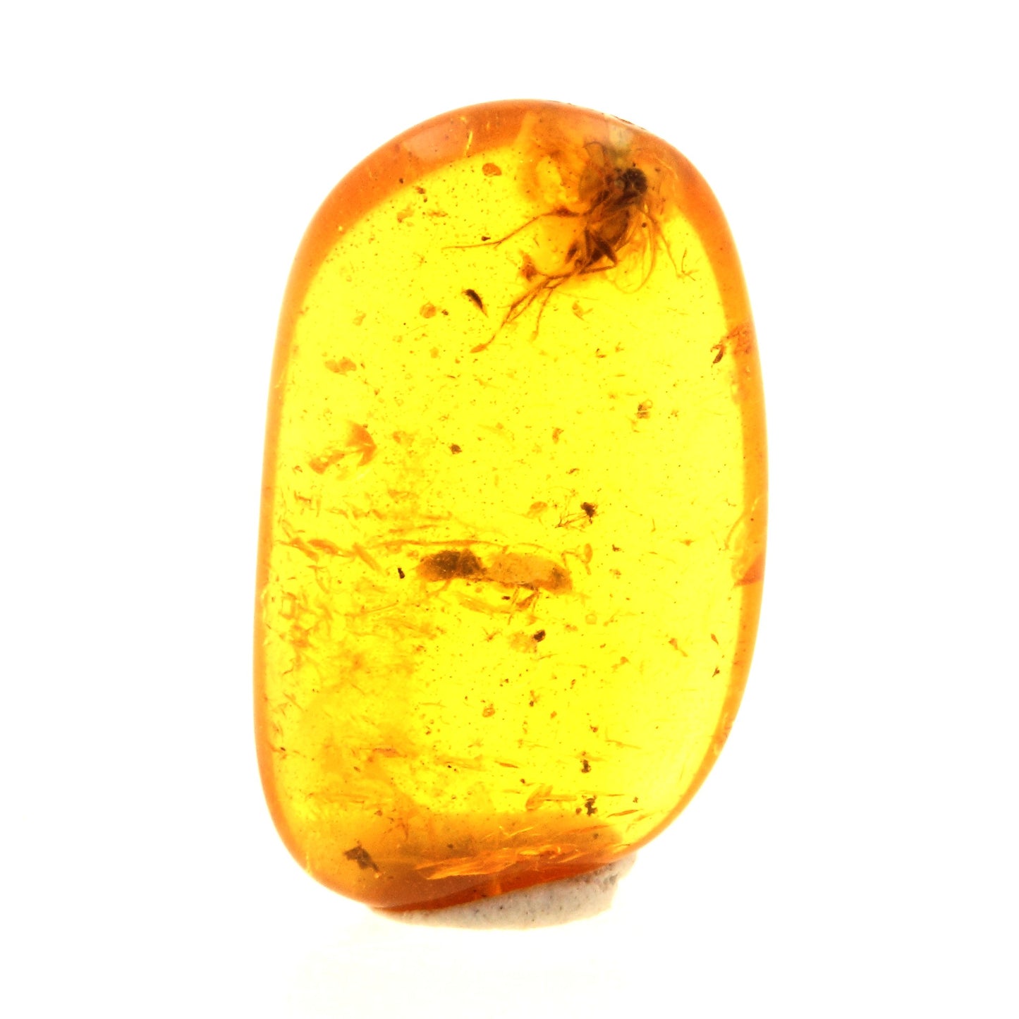 Ambre avec insecte. 2.3 carats. Mer Baltique, Russie