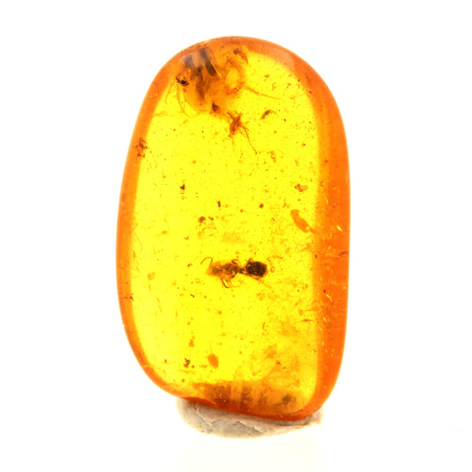 Ambre avec insecte. 2.3 carats. Mer Baltique, Russie