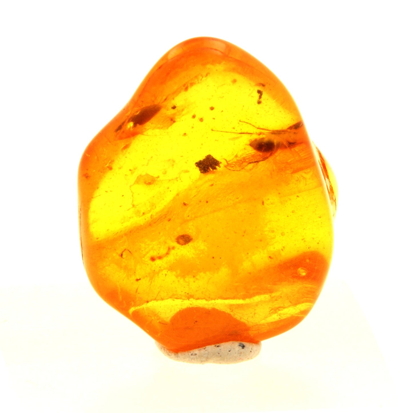 Ambre avec insecte. 4.1 carats. Mer Baltique, Russie
