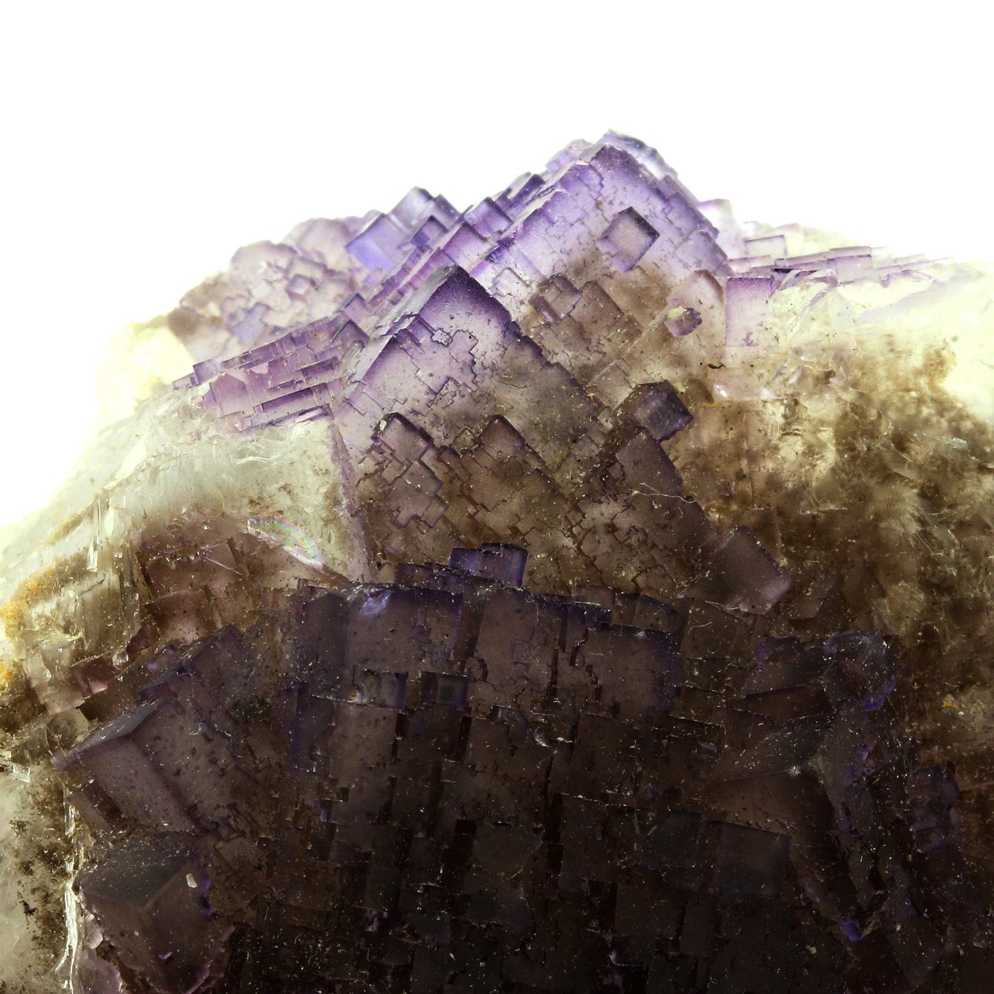 Fluorite. 1399.0 carats. Tule Mine, Melchor Múzquiz, Coahuila, Mexique