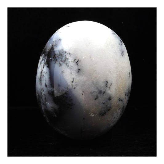 Agate dendrite en provenance de Ambato-Boeni, Boeny, Madagascar