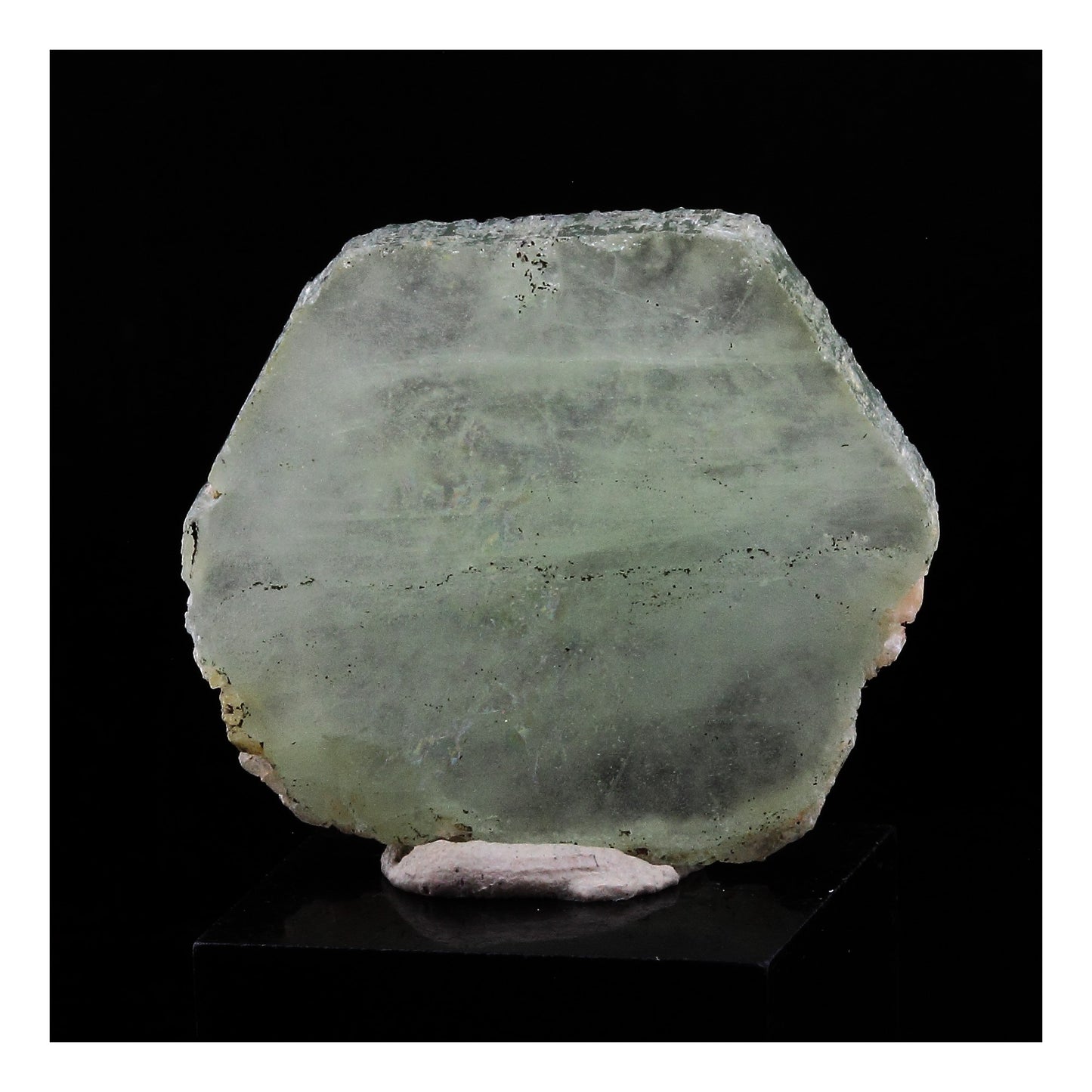 Béryl vert (tranche polie). 26.0 carats. Vangaindrano, Atsimo-Atsinanana, Madagascar