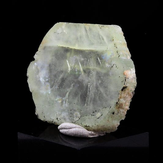 Béryl vert (tranche polie). 28.0 carats. Vangaindrano, Atsimo-Atsinanana, Madagascar