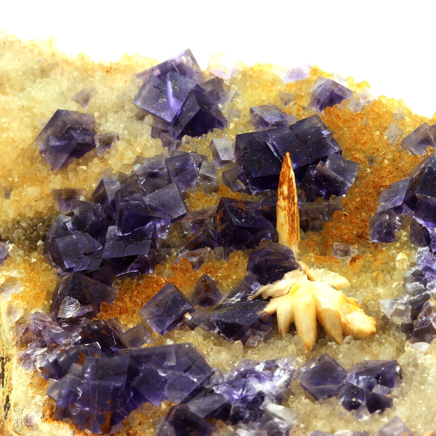 Fluorite + Baryte + Quartz. 2425.0 carats. La Cabaña, Berbes, Asturias, Espagne