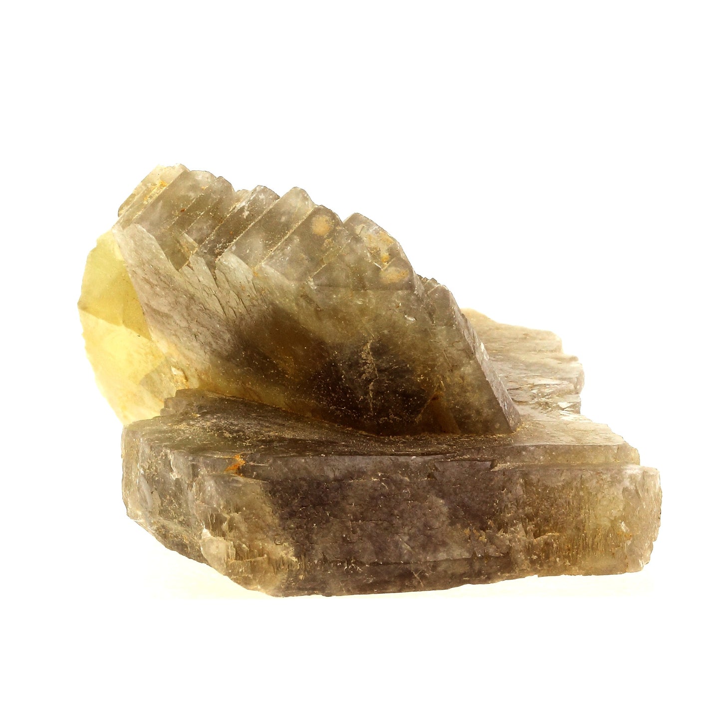Baryte peigne. 750.0 carats. Saint-Georges-les-Bains, Ardèche, France