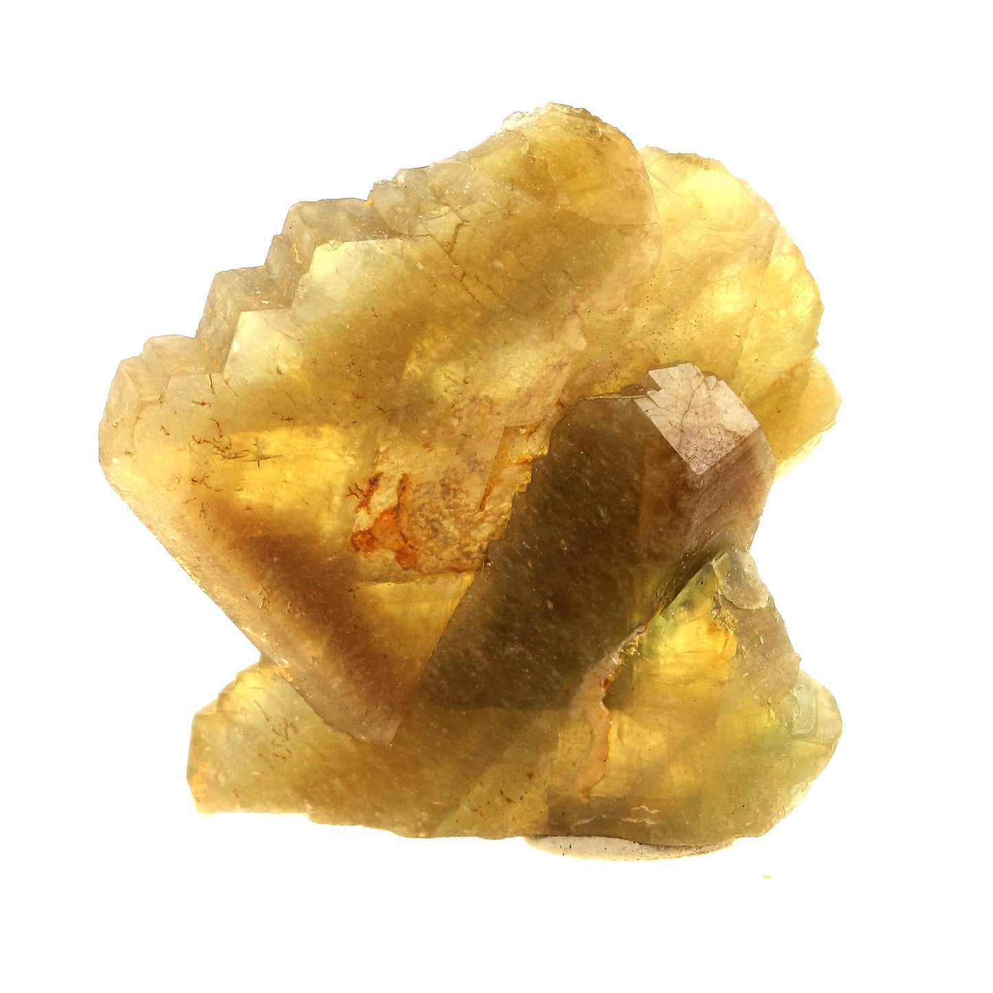 Baryte peigne. 494.0 carats. Saint-Georges-les-Bains, Ardèche, France