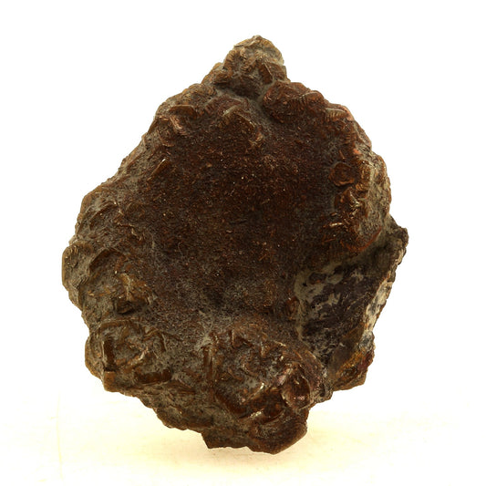 Pyrite sur Plicatule Fossile. 93.0 carats. Gargas, Apt, Provence-Alpes-Côte d'Azur, France