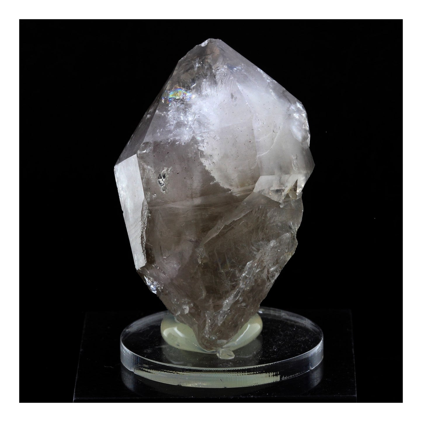 Quartz fumé Sceptre améthysé. 193.0 carats. Massif du Mont-Blanc, France