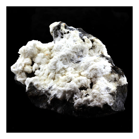 Baryte + Sphalerite. 4063.0 carats. Les Malines, Saint-Laurent-le-Minier, Occitanie, France